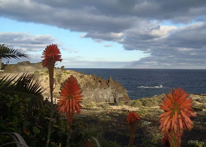 Paz Del Mar Charco del Palo