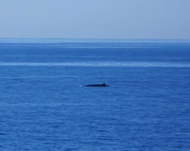 Paz Del Mar チャルコ・デル・パロ